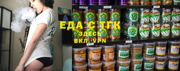 индика Артём