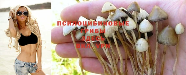 spice Кукмор