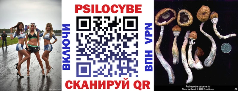 Купить где  Пыталово  Псилоцибиновые грибы мухоморы 